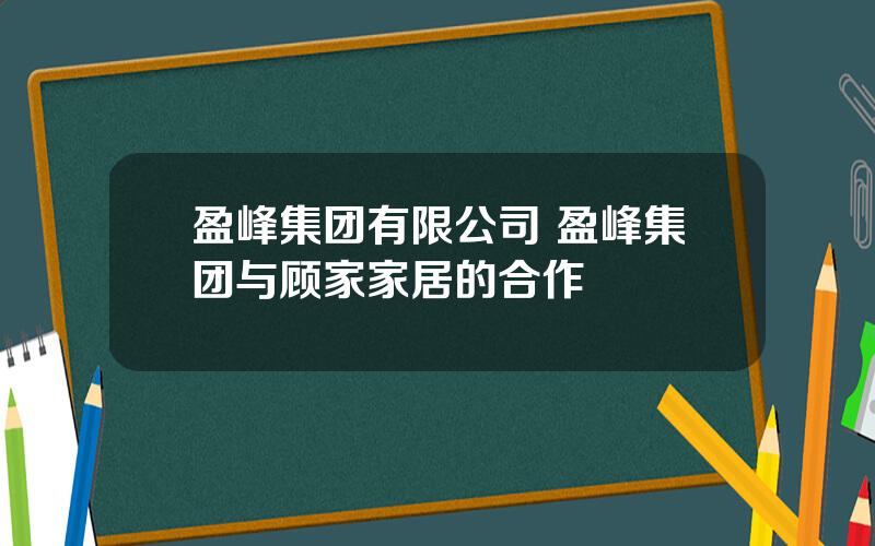 盈峰集团有限公司 盈峰集团与顾家家居的合作